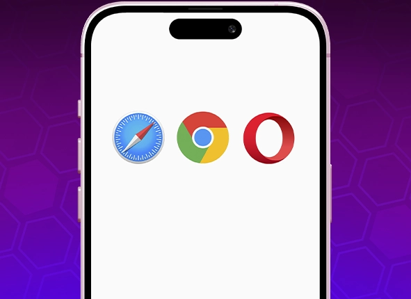Abrir el navegador e introducir la URL