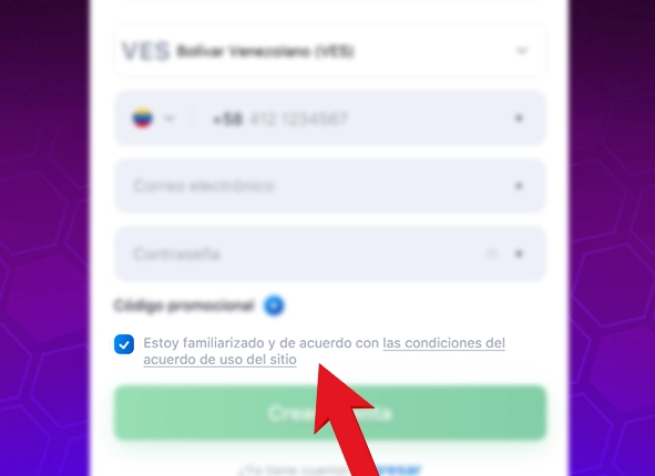Aceptar los términos y condiciones